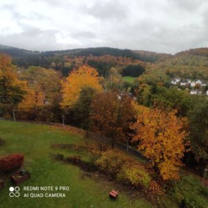 Test-Produkt Nummer 17